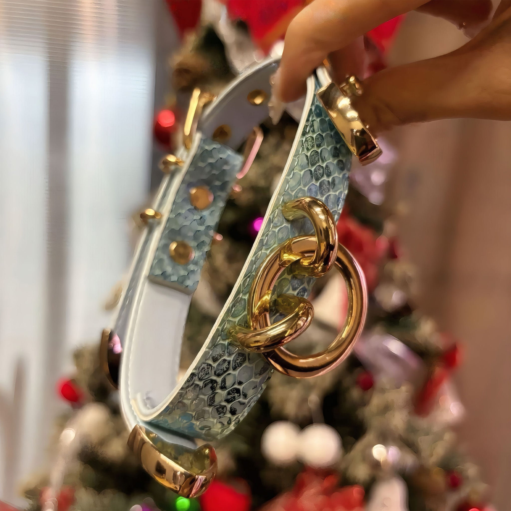 【Blue Lagoon】Dog Collar & Leash & Pet ID Tag-Set