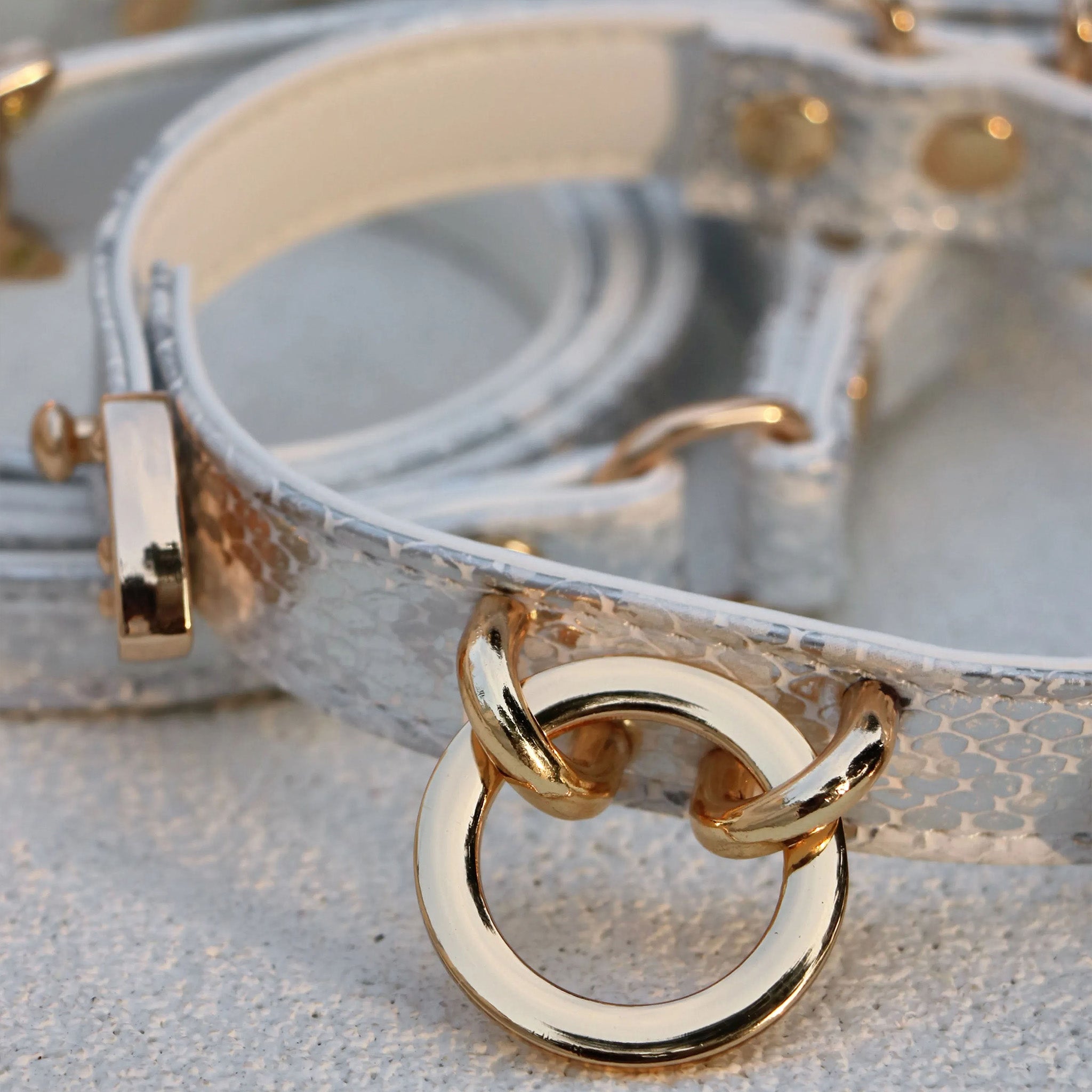 【Silver Frost】Dog Collar & Leash & Pet ID Tag-Set