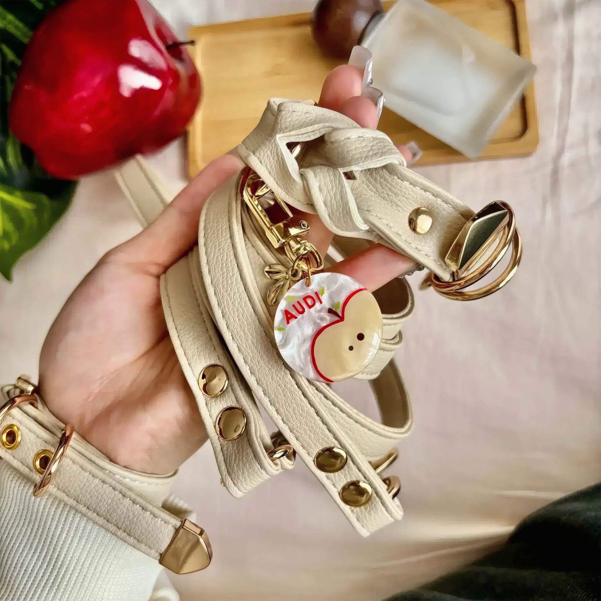 【Cream Dune】Dog Collar & Leash & Pet ID Tag-Set