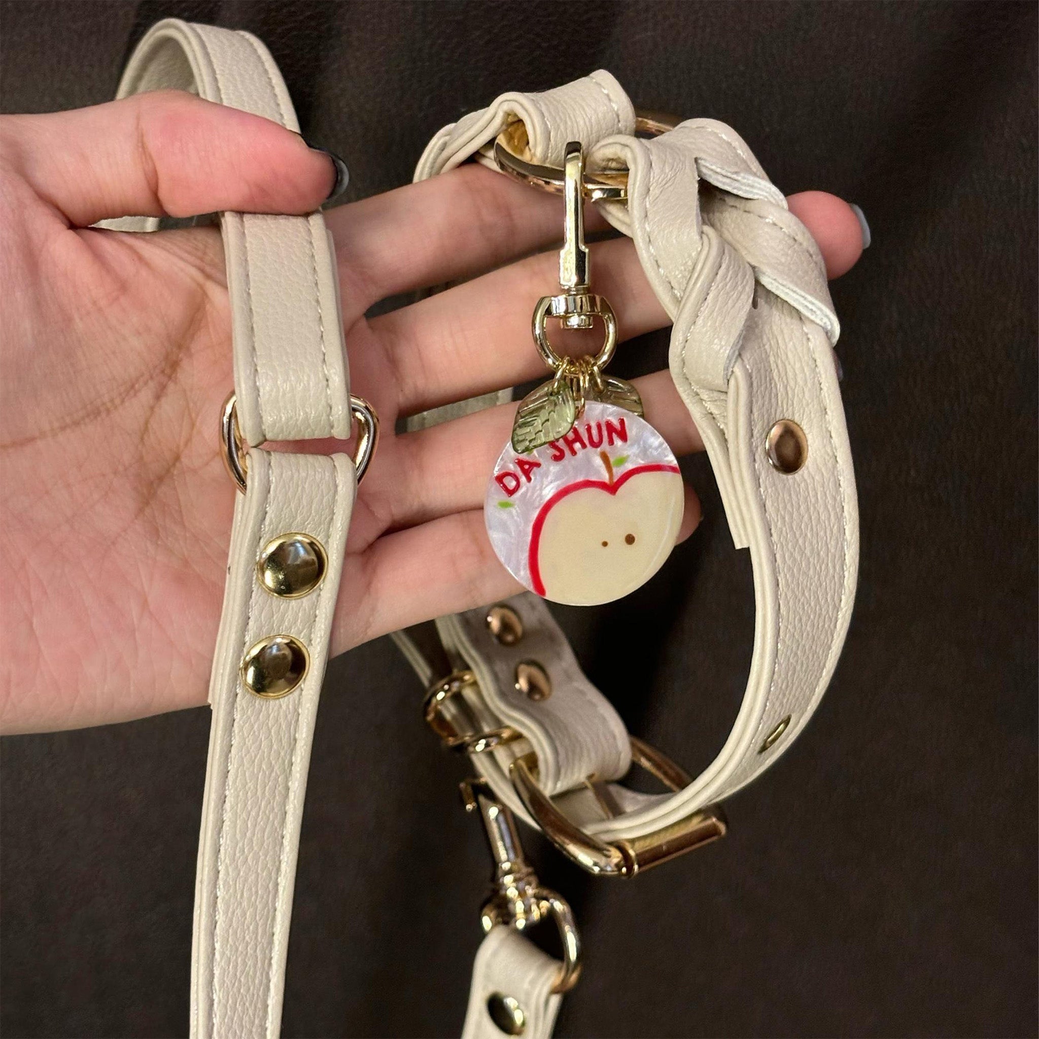 【Cream Dune】Dog Collar & Leash & Pet ID Tag-Set