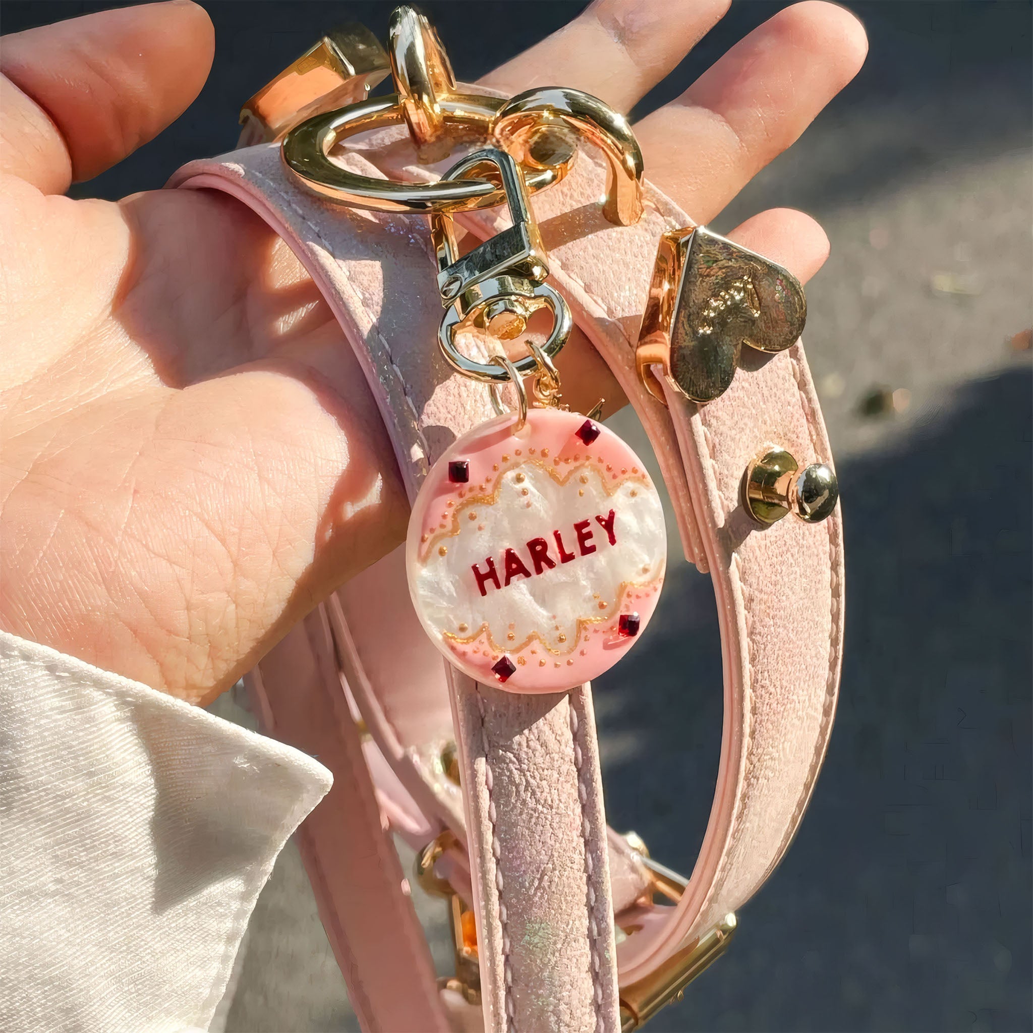 【Pink Aurora】Dog Collar & Leash & Pet ID Tag-Set