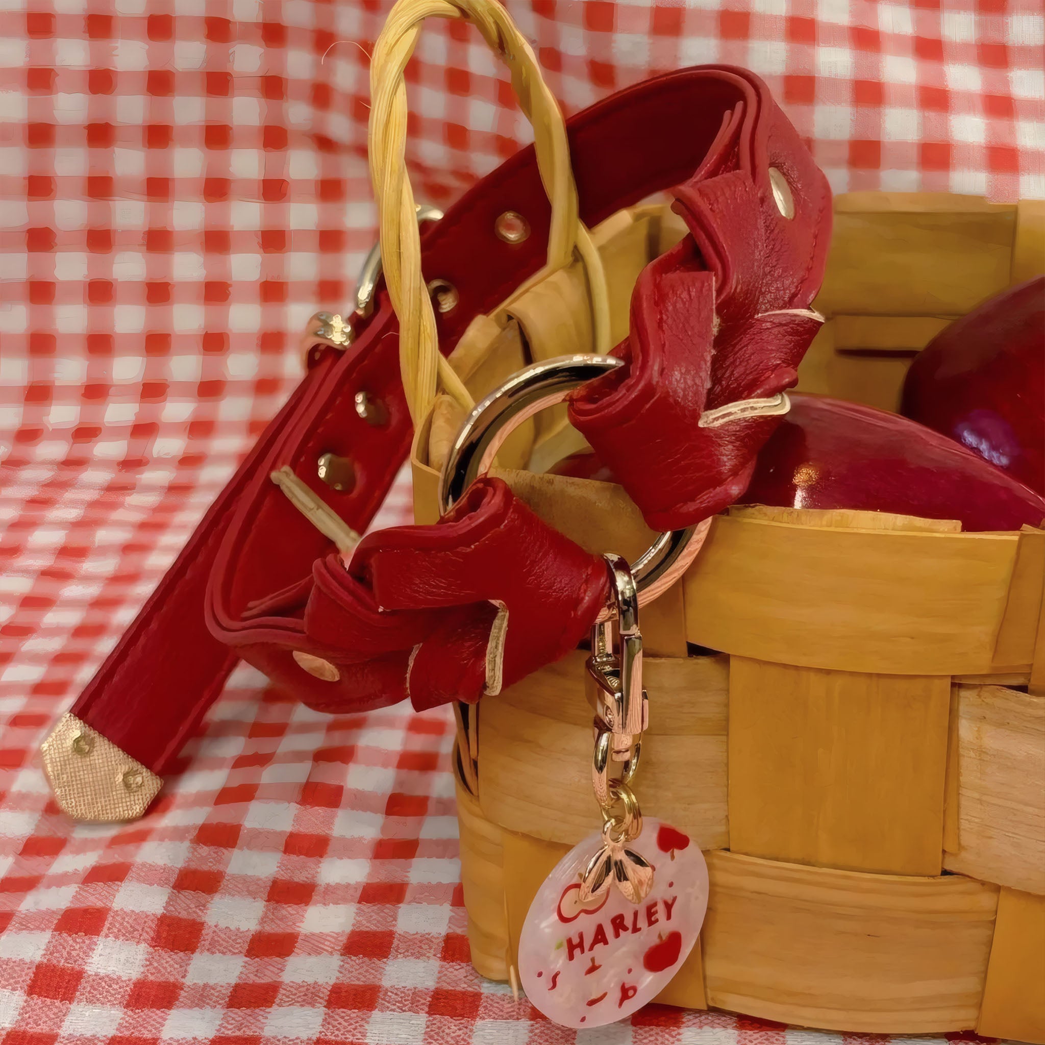 【Red Bloom】Dog Collar & Leash & Pet ID Tag-Set