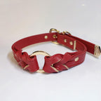 【Red Bloom】Dog Collar & Leash & Pet ID Tag-Set