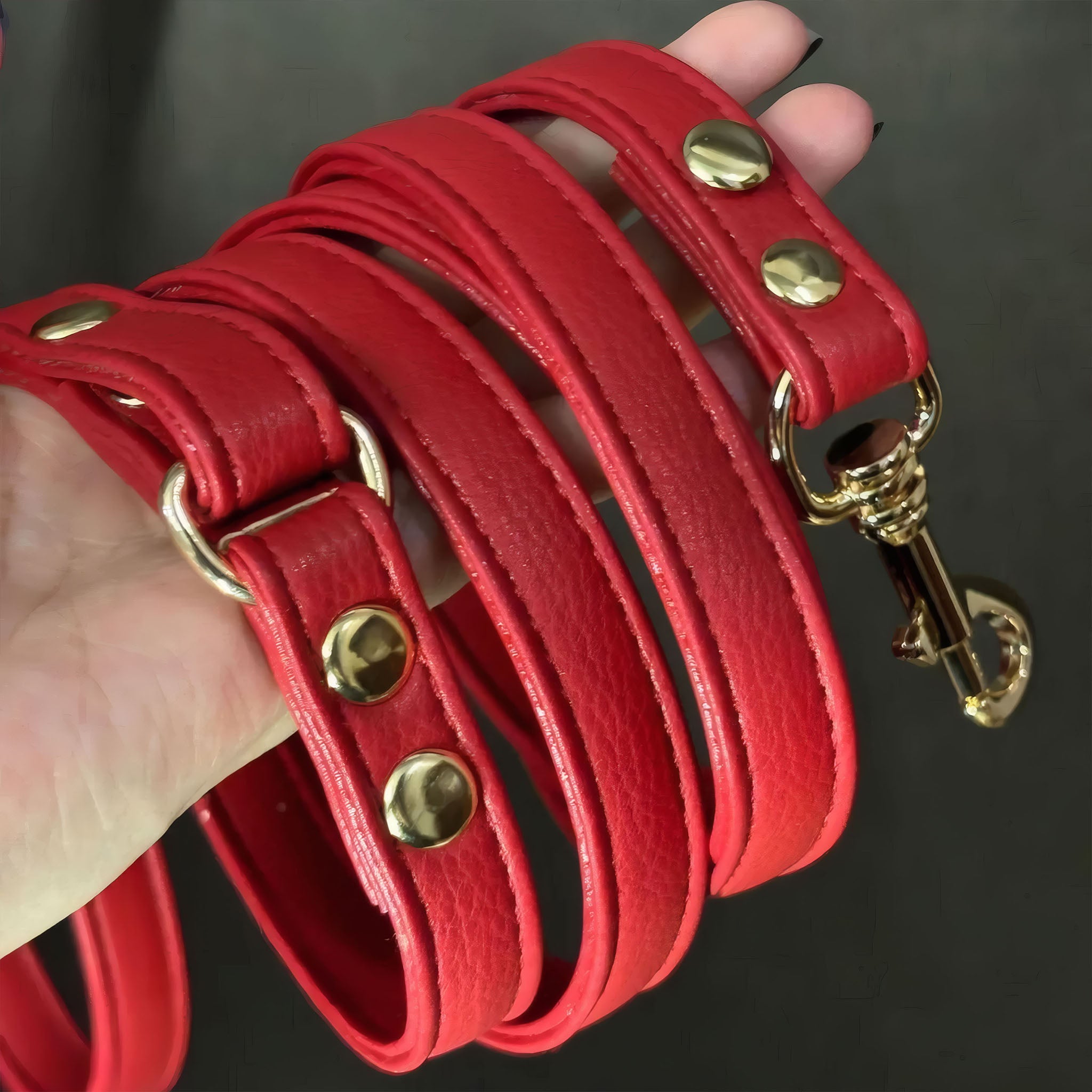【Red Bloom】Dog Collar & Leash & Pet ID Tag-Set