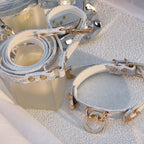 【Silver Frost】Dog Collar & Leash & Pet ID Tag-Set
