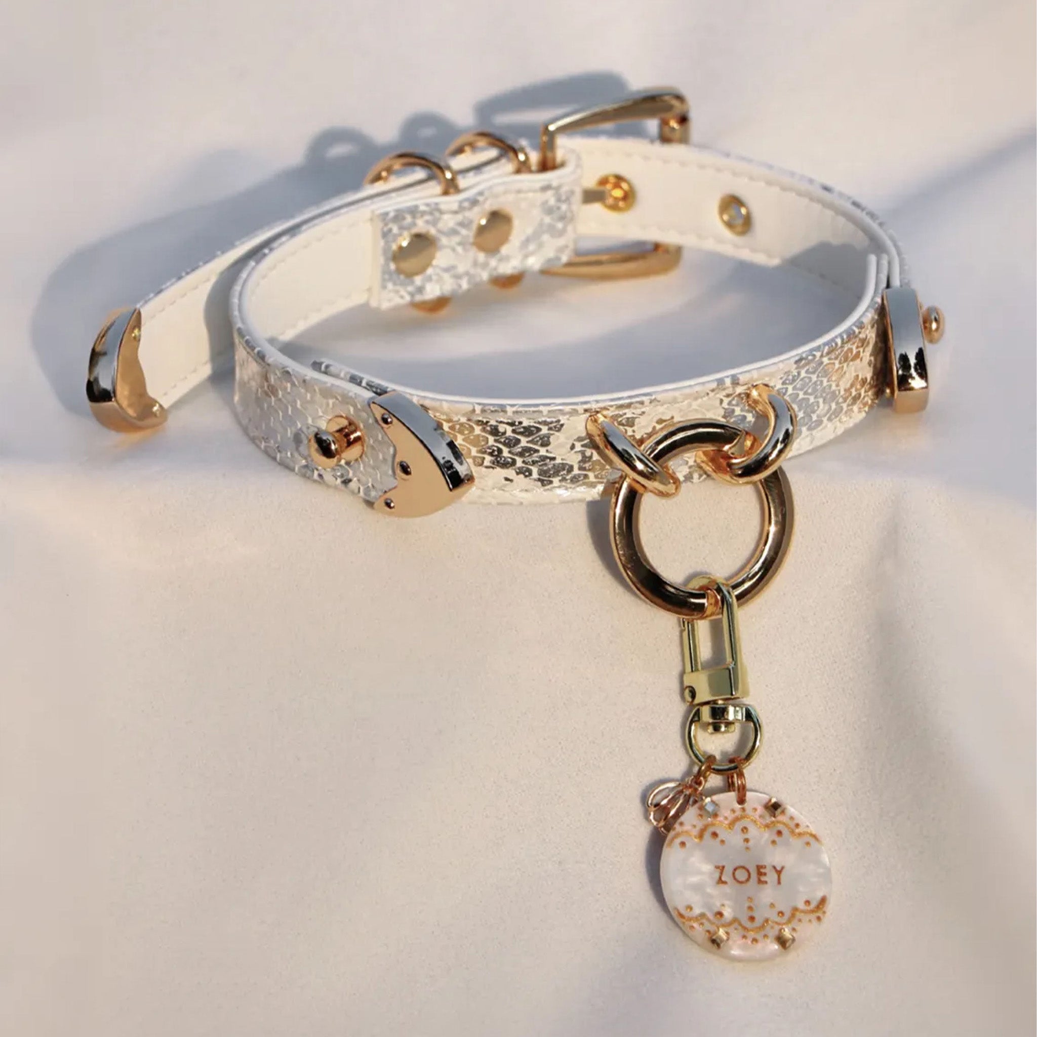 【Silver Frost】Dog Collar & Leash & Pet ID Tag-Set