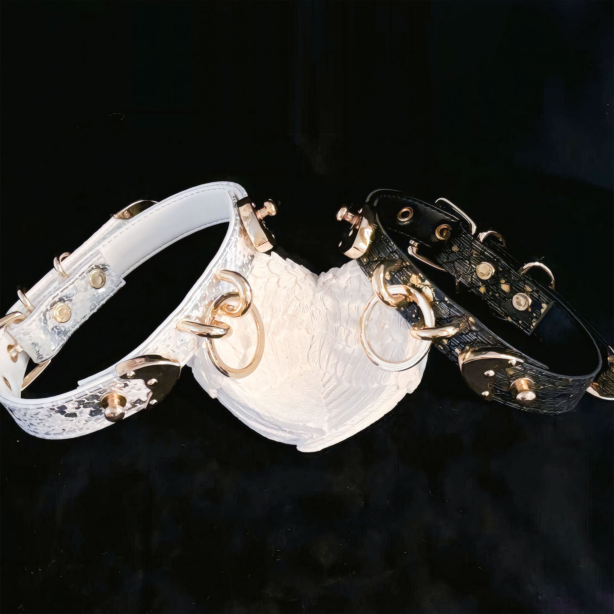 【Silver Frost】Dog Collar & Leash & Pet ID Tag-Set