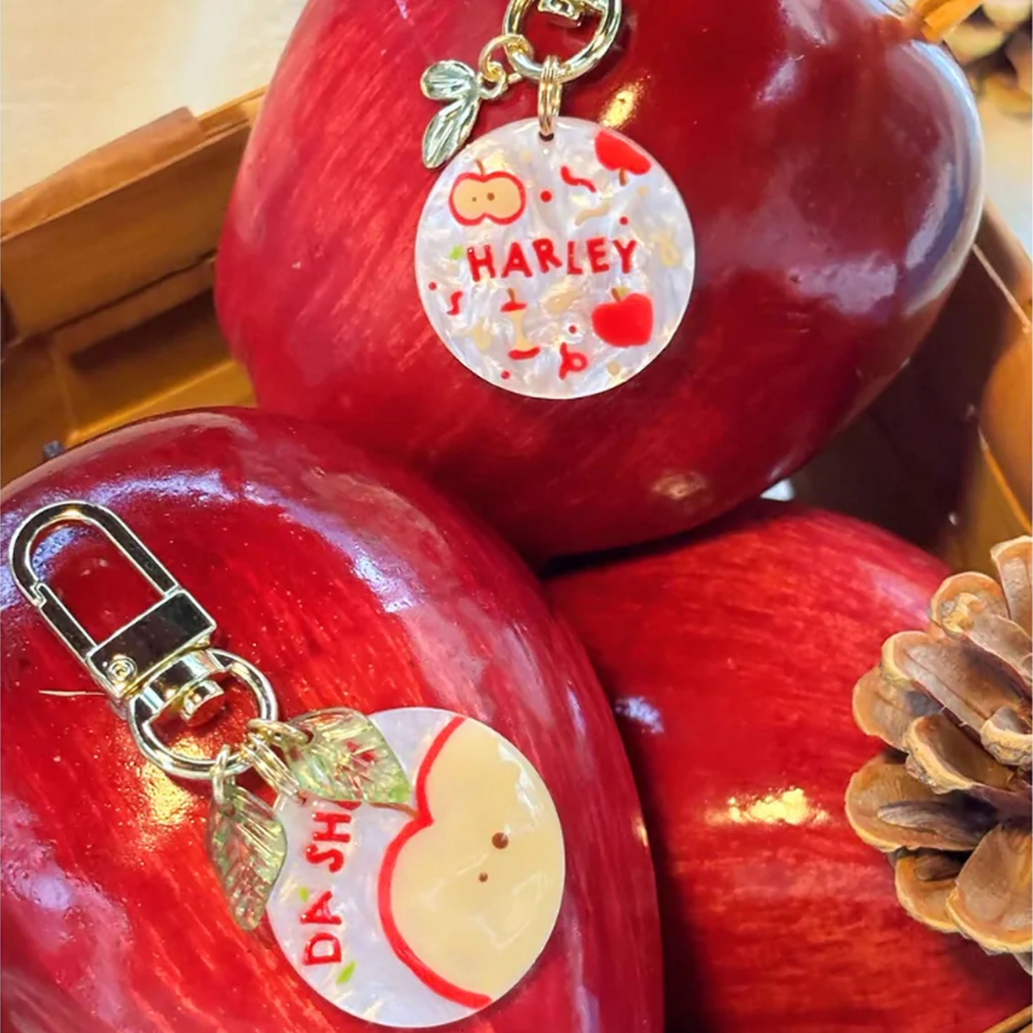 【Colorful Apple】Pet ID Tags,  Dog Tag,  Cat Tag