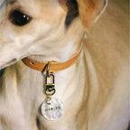 【Basic Style】Pet ID Tags,  Dog Tag,  Cat Tag