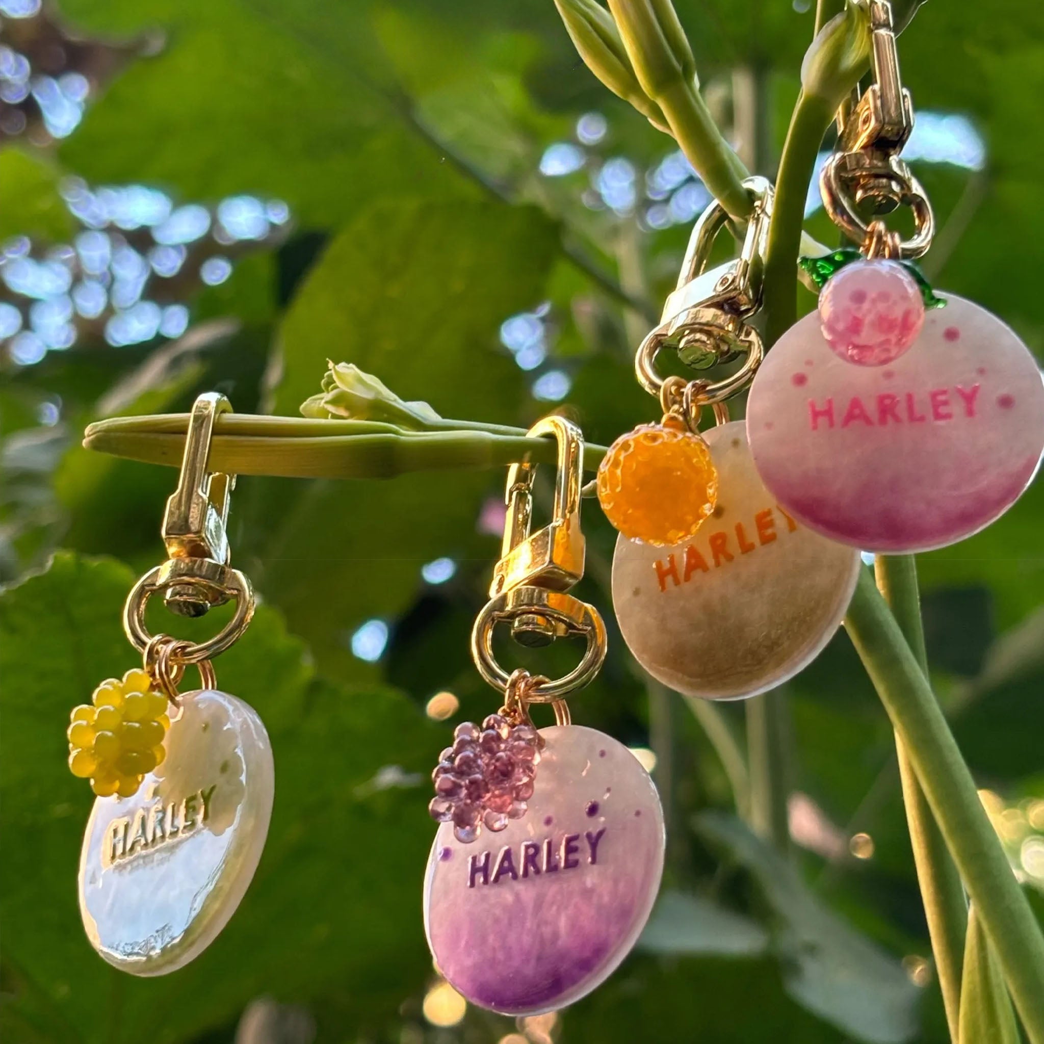 【Summer Soda】Pet ID Tags,  Dog Tag,  Cat Tag